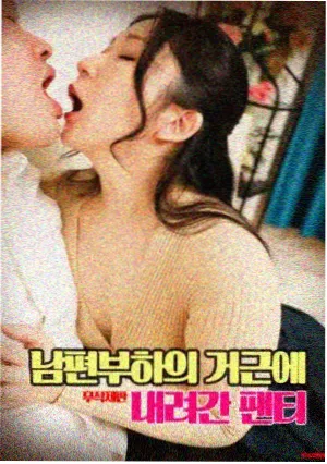 番茄视频 控方证人 悬疑经典 高分经典